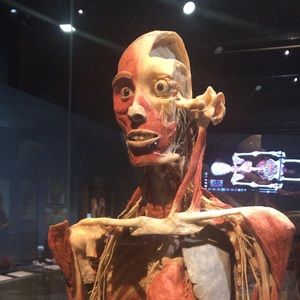 Meet your Posher, Mack